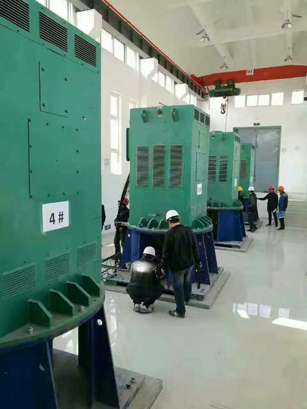 YKS6302-6某污水处理厂使用我厂的立式高压电机安装现场