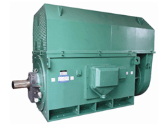 YKS6302-6Y系列6KV高压电机