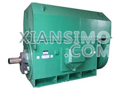 YKS6302-6YXKK(2极)高效高压电机技术参数